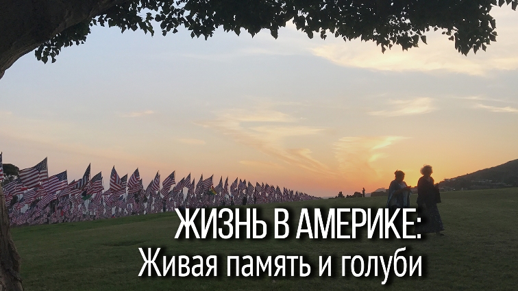 Жизнь в Америке. Мемориал.