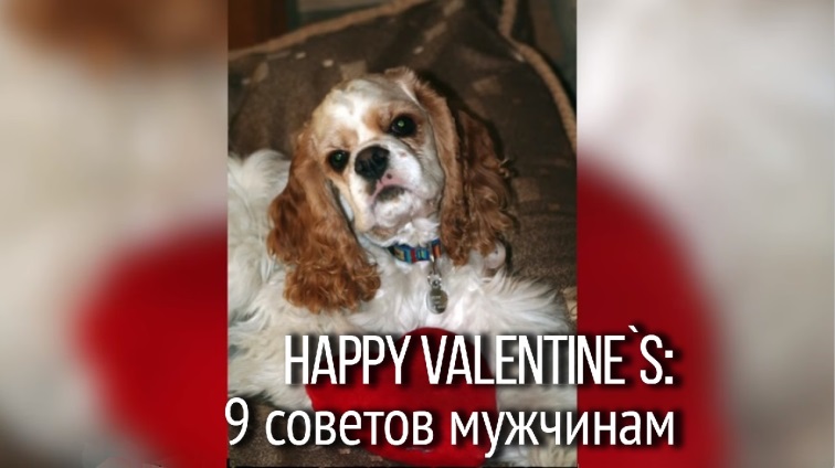 C Днем св. Валентина! Поздравление на английском
